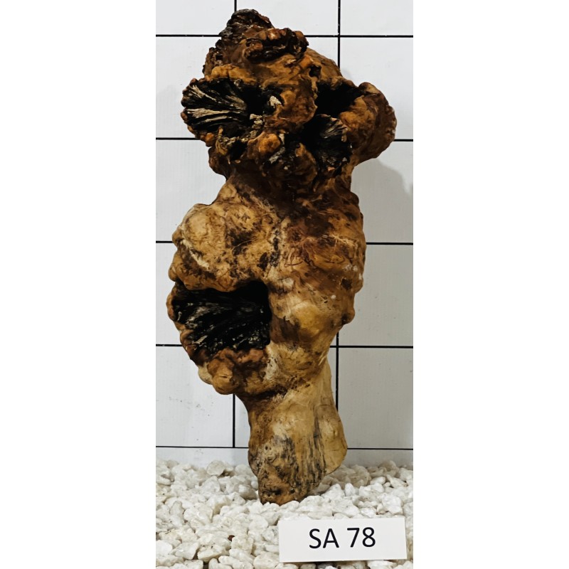 Samoa wood 78