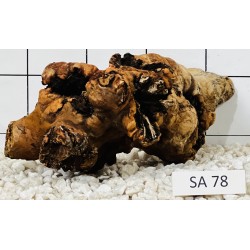 Samoa wood 78