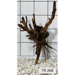 Spiderwood 268