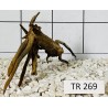 Spiderwood 269