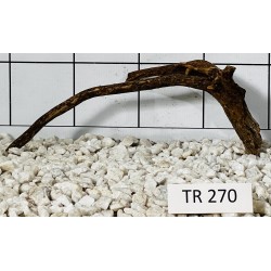 Spiderwood 270