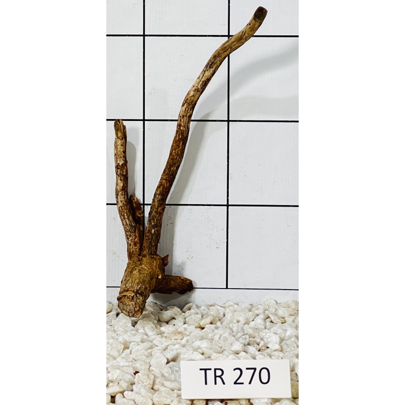 Spiderwood 270