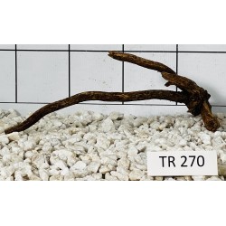 Spiderwood 270