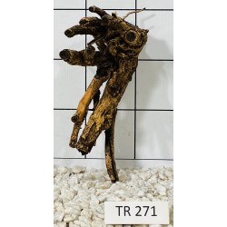 Spiderwood 271