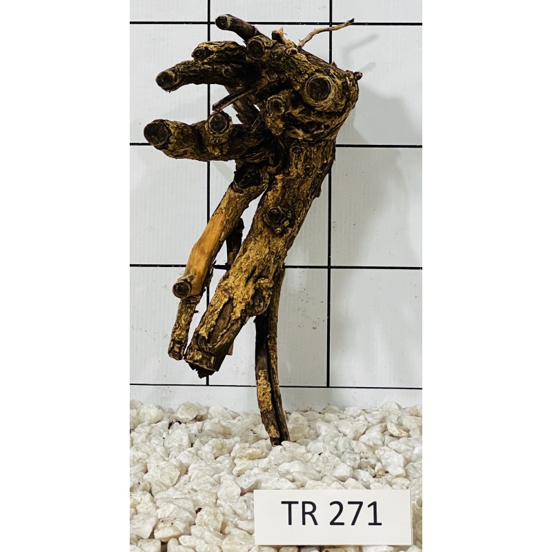 Spiderwood 271
