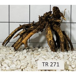 Spiderwood 271