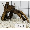Spiderwood 271