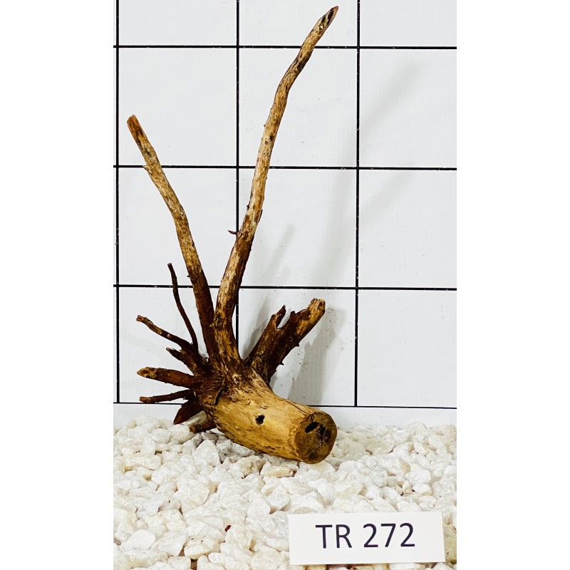 Spiderwood 272