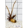 Spiderwood 272