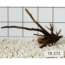 Spiderwood 272