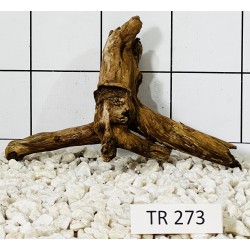 Spiderwood 273