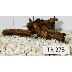 Spiderwood 273