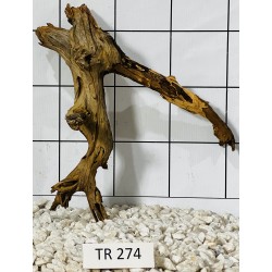 Spiderwood 274