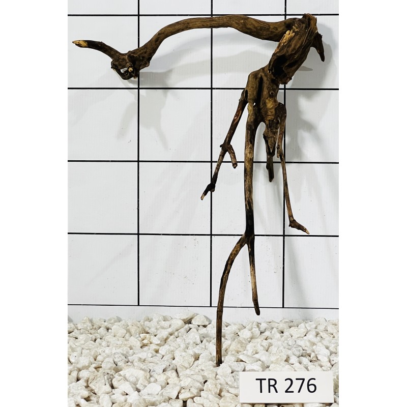 Spiderwood 276