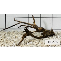 Spiderwood 276