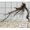 Spiderwood 276