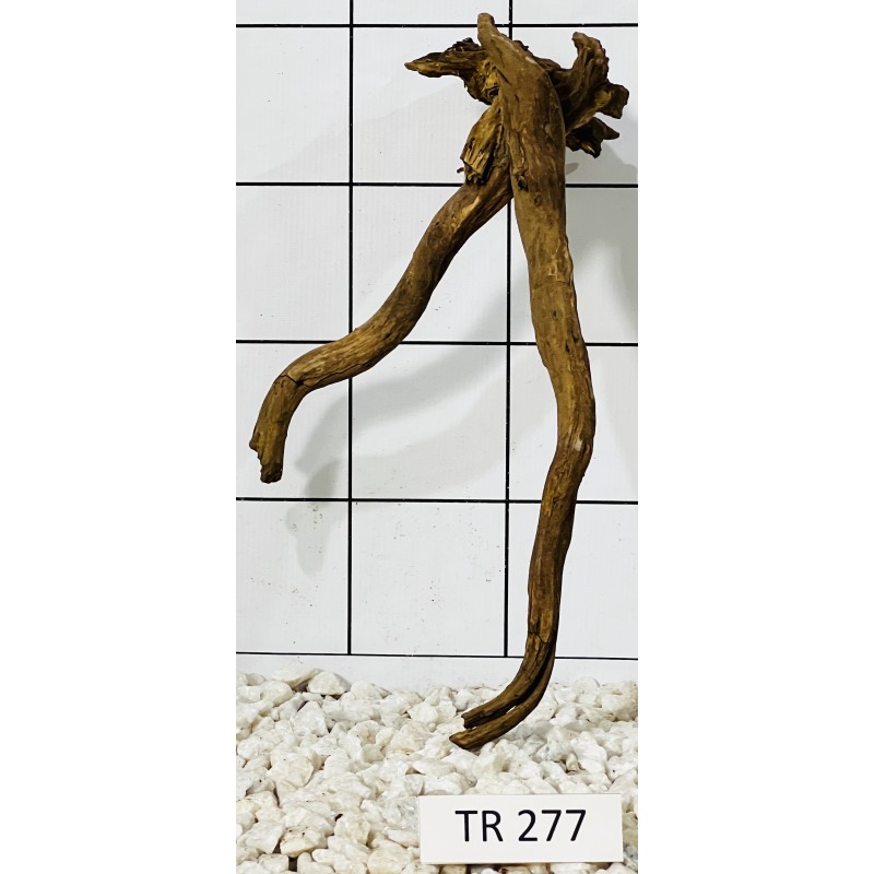 Spiderwood 277