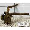 Spiderwood 277