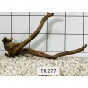 Spiderwood 277