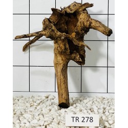 Spiderwood 278