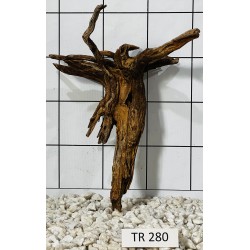 Spiderwood 280