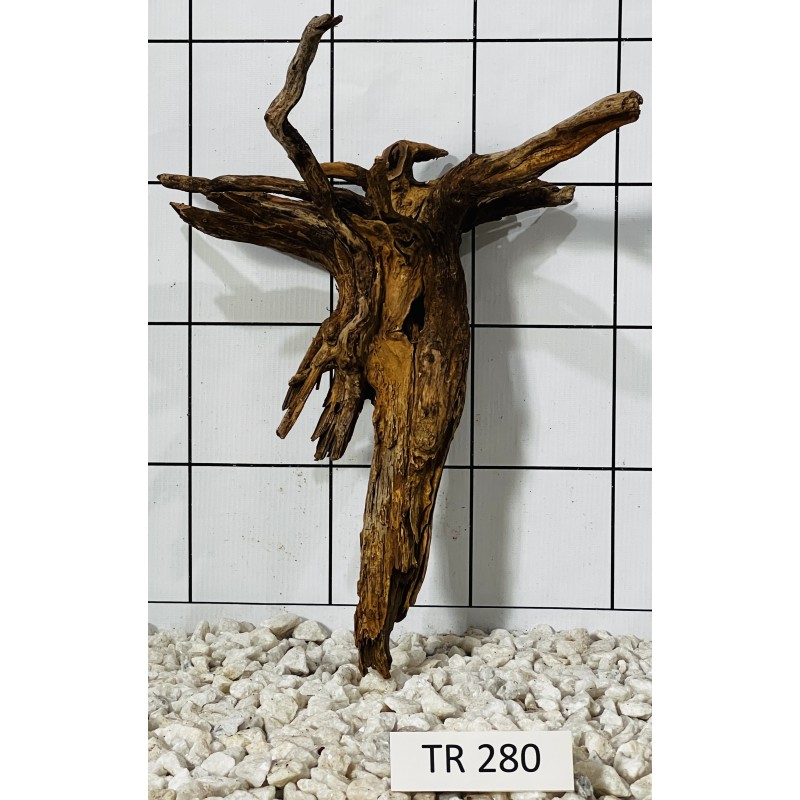 Spiderwood 280