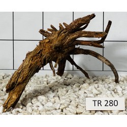 Spiderwood 280