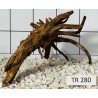 Spiderwood 280