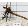 Spiderwood 281