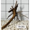 Spiderwood 281