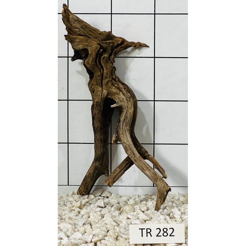 Spiderwood 282