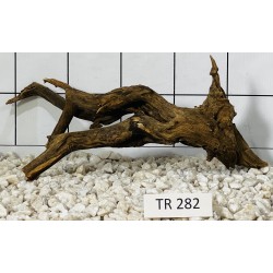 Spiderwood 282