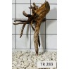Spiderwood 283