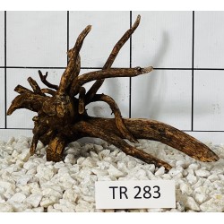 Spiderwood 283
