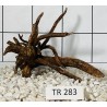 Spiderwood 283