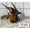 Spiderwood 283