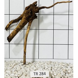 Spiderwood 284