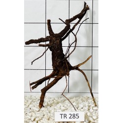 Spiderwood 285
