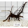 Spiderwood 285