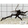 Spiderwood 285