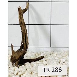 Spiderwood 286