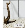 Spiderwood 286
