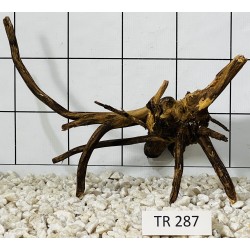 Spiderwood 287