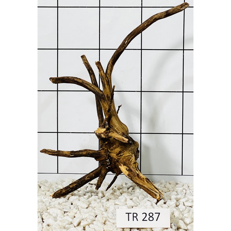 Spiderwood 287