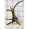 Spiderwood 287