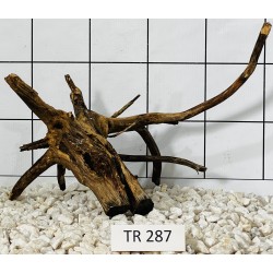 Spiderwood 287
