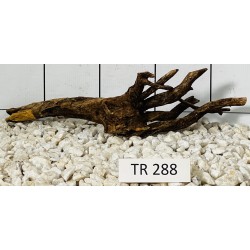 Spiderwood 288
