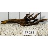 Spiderwood 288