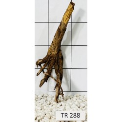 Spiderwood 288
