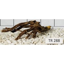 Spiderwood 288